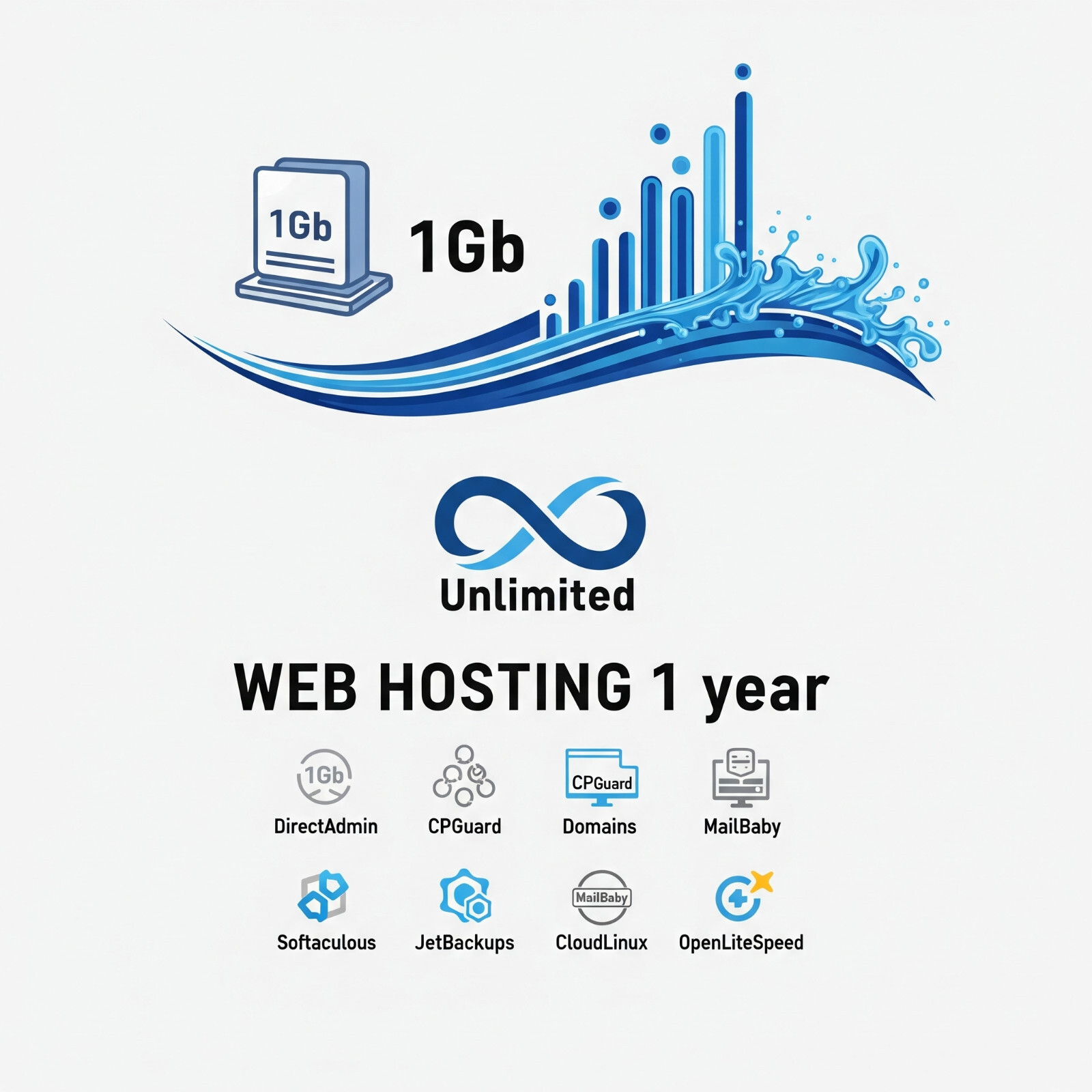 Web Hosting 1 Year – 1GB disk space – 10GB bandwidth – US DirectAdmin panel