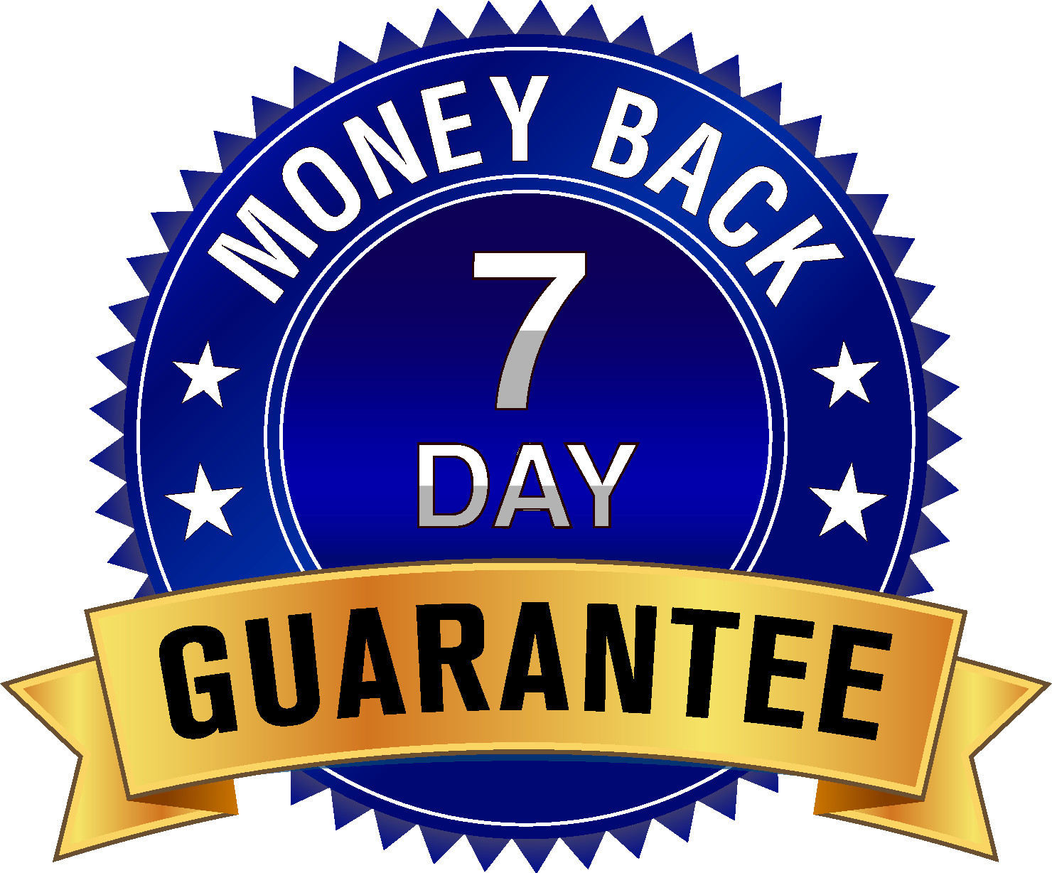 PROFESSIONAL INTERNET BUSINESS WEBSITE – Free 3 months hosting -Why pay more?